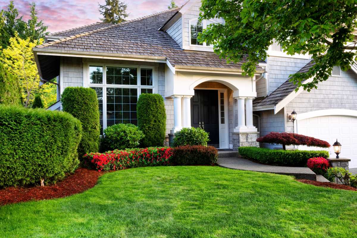 The Ultimate Guide to Landscaping: Transform Your Yard